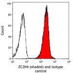 ZC3H4 Antibody in Flow Cytometry (Flow)