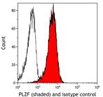 PLZF Antibody in Flow Cytometry (Flow)