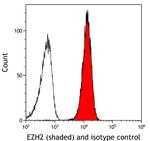 EZH2 Antibody in Flow Cytometry (Flow)