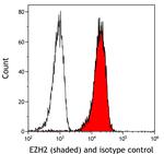 EZH2 Antibody in Flow Cytometry (Flow)