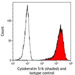 Cytokeratin 5/6 Antibody in Flow Cytometry (Flow)