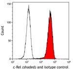 c-Rel Antibody in Flow Cytometry (Flow)