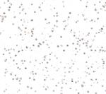 c-Rel Recombinant Rabbit Monoclonal Antibody (BLR342M)