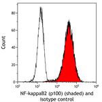 NF-kappaB2 (p100) Antibody in Flow Cytometry (Flow)
