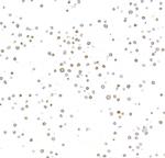 NF-kappaB2 (p100) Recombinant Rabbit Monoclonal Antibody (BLR349N)
