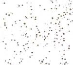 NF-kappaB2 (p100/p52) Recombinant Rabbit Monoclonal Antibody (BLR350N)