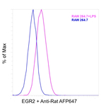 Rat IgG (H+L) Highly Cross-Adsorbed Secondary Antibody in Flow Cytometry (Flow)