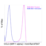 Rat IgG (H+L) Highly Cross-Adsorbed Secondary Antibody in Flow Cytometry (Flow)