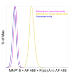 Rabbit IgG Fc, Cross-Adsorbed Secondary Antibody in Flow Cytometry (Flow)