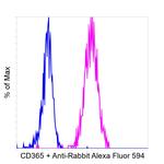 Rabbit IgG Fc, Cross-Adsorbed Secondary Antibody in Flow Cytometry (Flow)