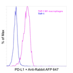 Rabbit IgG Fc, Cross-Adsorbed Secondary Antibody in Flow Cytometry (Flow)