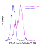 Rabbit IgG Fc, Cross-Adsorbed Secondary Antibody in Flow Cytometry (Flow)
