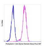 Syrian Hamster IgG (H+L) Highly Cross-Adsorbed Secondary Antibody in Flow Cytometry (Flow)