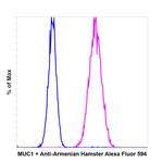 Armenian Hamster IgG (H+L) Highly Cross-Adsorbed Secondary Antibody in Flow Cytometry (Flow)