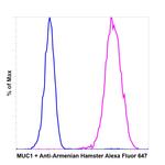 Armenian Hamster IgG (H+L) Highly Cross-Adsorbed Secondary Antibody in Flow Cytometry (Flow)