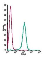 ACE2 (extracellular) Antibody in Flow Cytometry (Flow)