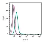 ACE2 (extracellular) Antibody in Flow Cytometry (Flow)