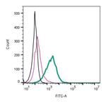 ACE2 (extracellular) Antibody in Flow Cytometry (Flow)