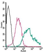 Adenosine A2B Receptor (extracellular) Antibody in Flow Cytometry (Flow)