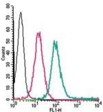 Adenosine A2A Receptor (extracellular) Antibody in Flow Cytometry (Flow)