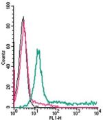 Adenosine A2A Receptor (extracellular) Antibody in Flow Cytometry (Flow)