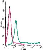 Adenosine A2A Receptor (extracellular) Antibody in Flow Cytometry (Flow)
