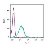 Adenosine A1 Receptor (extracellular) Antibody in Flow Cytometry (Flow)