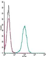 Angiotensin II Receptor Type-1 (extracellular) Antibody in Flow Cytometry (Flow)
