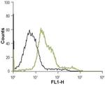alpha 1B-Adrenergic Receptor (extracellular) Antibody in Flow Cytometry (Flow)