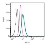 beta 1-Adrenergic Receptor (extracellular) Antibody in Flow Cytometry (Flow)
