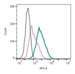 beta 1-Adrenergic Receptor (extracellular) Antibody in Flow Cytometry (Flow)