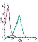 Adenylate Cyclase 3 (AC3) (extracellular) Antibody in Flow Cytometry (Flow)