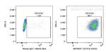 CD107a/LAMP1 Antibody in Flow Cytometry (Flow)