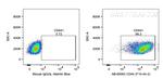 CD44 Antibody in Flow Cytometry (Flow)