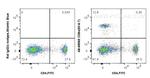 CD8a Antibody in Flow Cytometry (Flow)