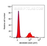 CD20 Antibody in Flow Cytometry (Flow)