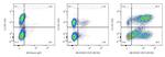 CD25 Antibody in Flow Cytometry (Flow)