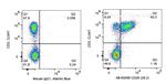 CD28 Antibody in Flow Cytometry (Flow)