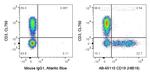 CD19 Antibody in Flow Cytometry (Flow)