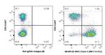 MHC Class II (I-A/I-E) Antibody in Flow Cytometry (Flow)