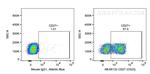 CD27 Antibody in Flow Cytometry (Flow)