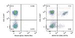 CD8a Antibody in Flow Cytometry (Flow)