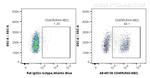 CD45R (B220) Antibody in Flow Cytometry (Flow)