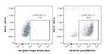 Ly-6G/Ly-6C (Gr-1) Antibody in Flow Cytometry (Flow)
