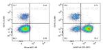 CD3 Antibody in Flow Cytometry (Flow)