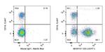 CD3 Antibody in Flow Cytometry (Flow)