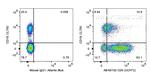 CD5 Antibody in Flow Cytometry (Flow)