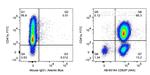 CD62P Antibody in Flow Cytometry (Flow)