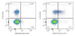 CD1c Antibody in Flow Cytometry (Flow)