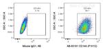 CD146 Antibody in Flow Cytometry (Flow)